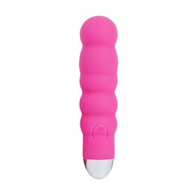 미니 바이브 굴곡 핑크 MINI VIBRATOR_LSB004_PINK